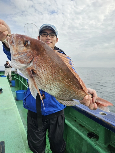 マダイの釣果