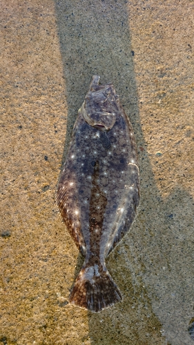 日和山浜海水浴場