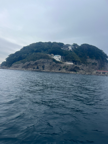 カワハギの釣果