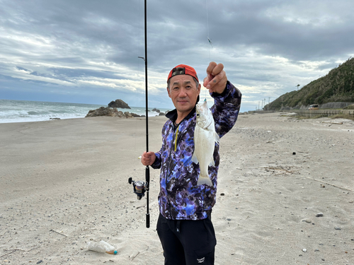 ヒラスズキの釣果