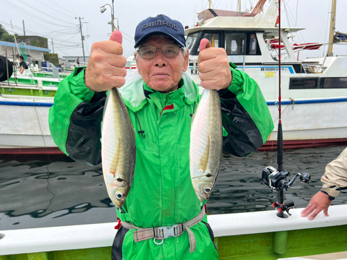 マアジの釣果