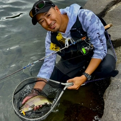 ニジマスの釣果