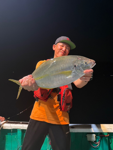 シマアジの釣果