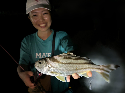 クワガナーの釣果