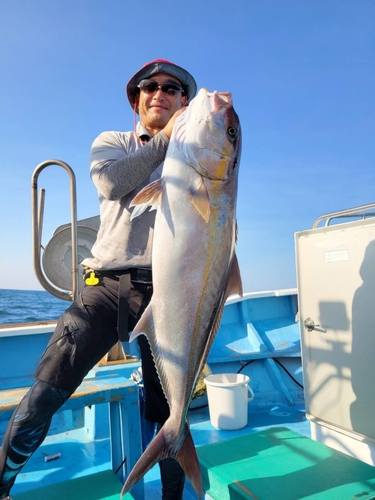 カンパチの釣果