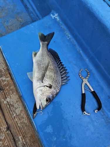 浜名湖