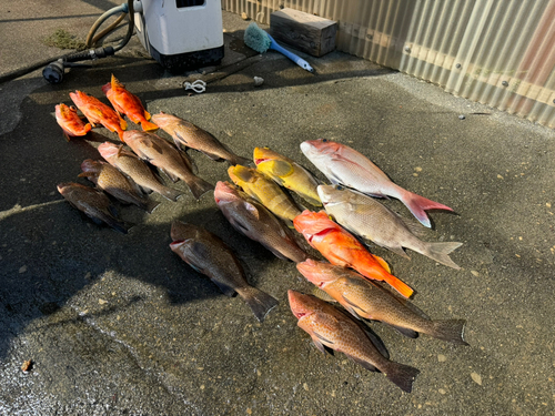 タイの釣果