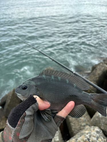 那珂湊港