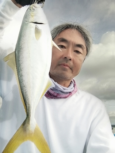 イナダの釣果