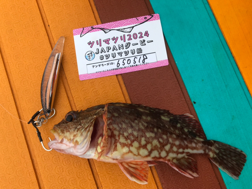 カサゴの釣果