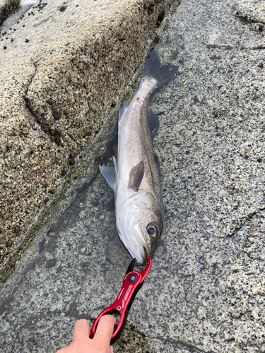 海釣り公園跡地