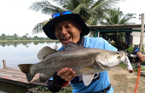 バラマンディの釣果