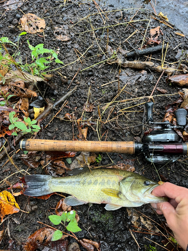 釣果