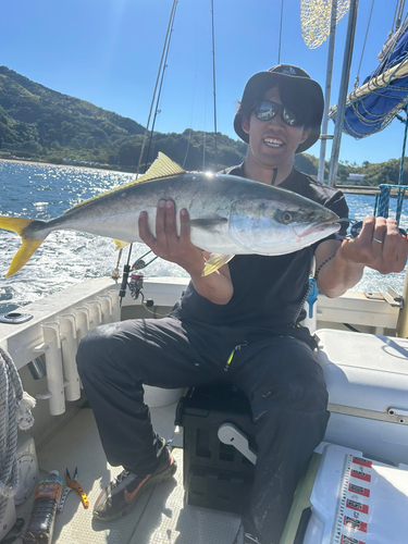 ブリの釣果