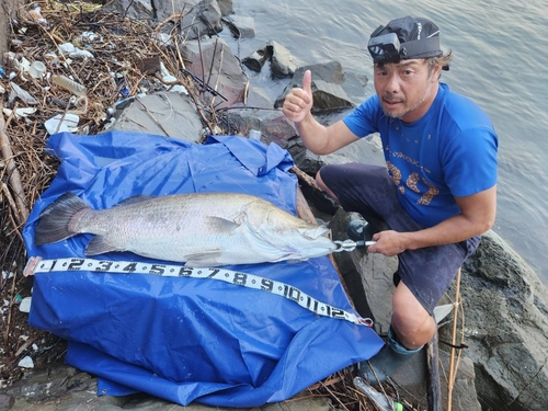 アカメの釣果