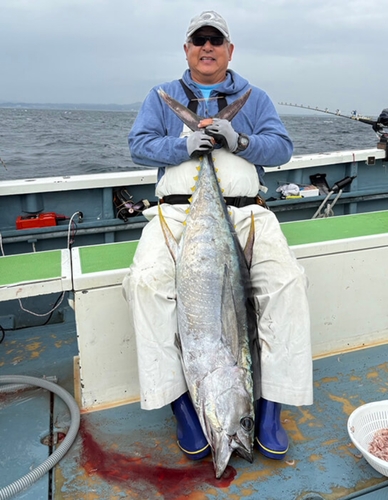 キハダマグロの釣果