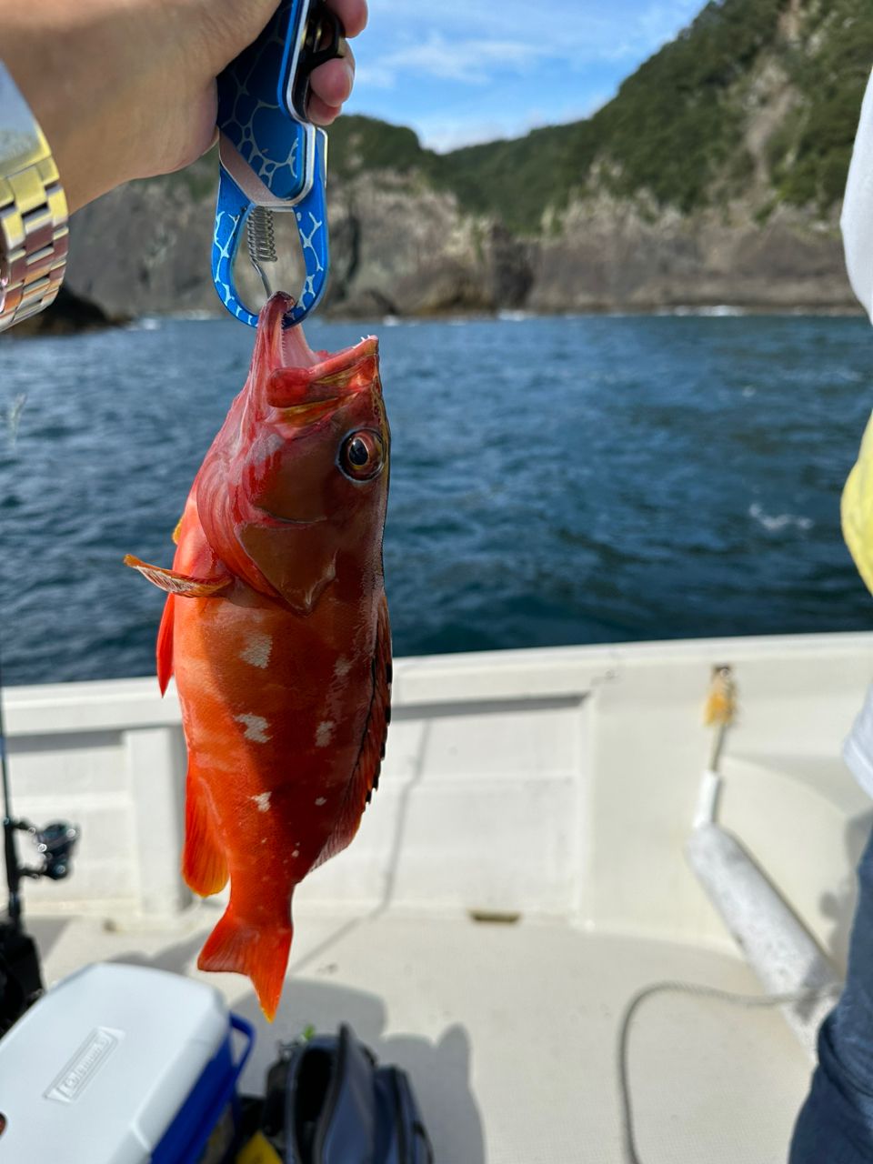 なごさんさんの釣果 2枚目の画像