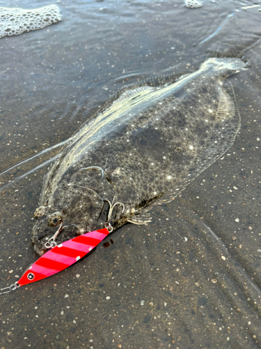 ソゲの釣果