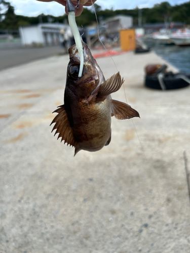 松ヶ浜漁港