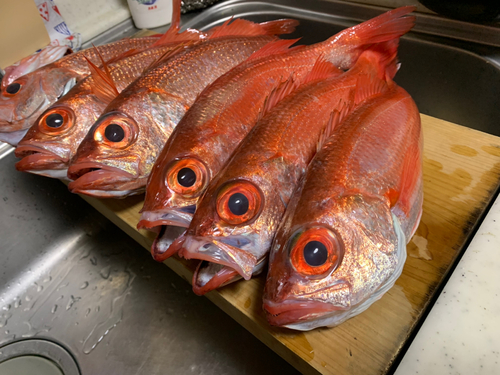 アカムツの釣果