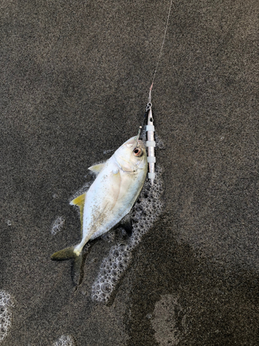 浜岡海岸