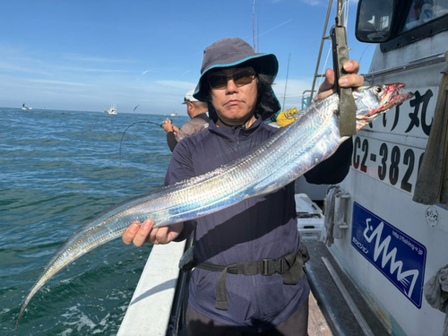 タチウオの釣果