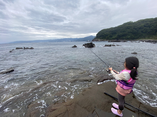 イシガキダイの釣果