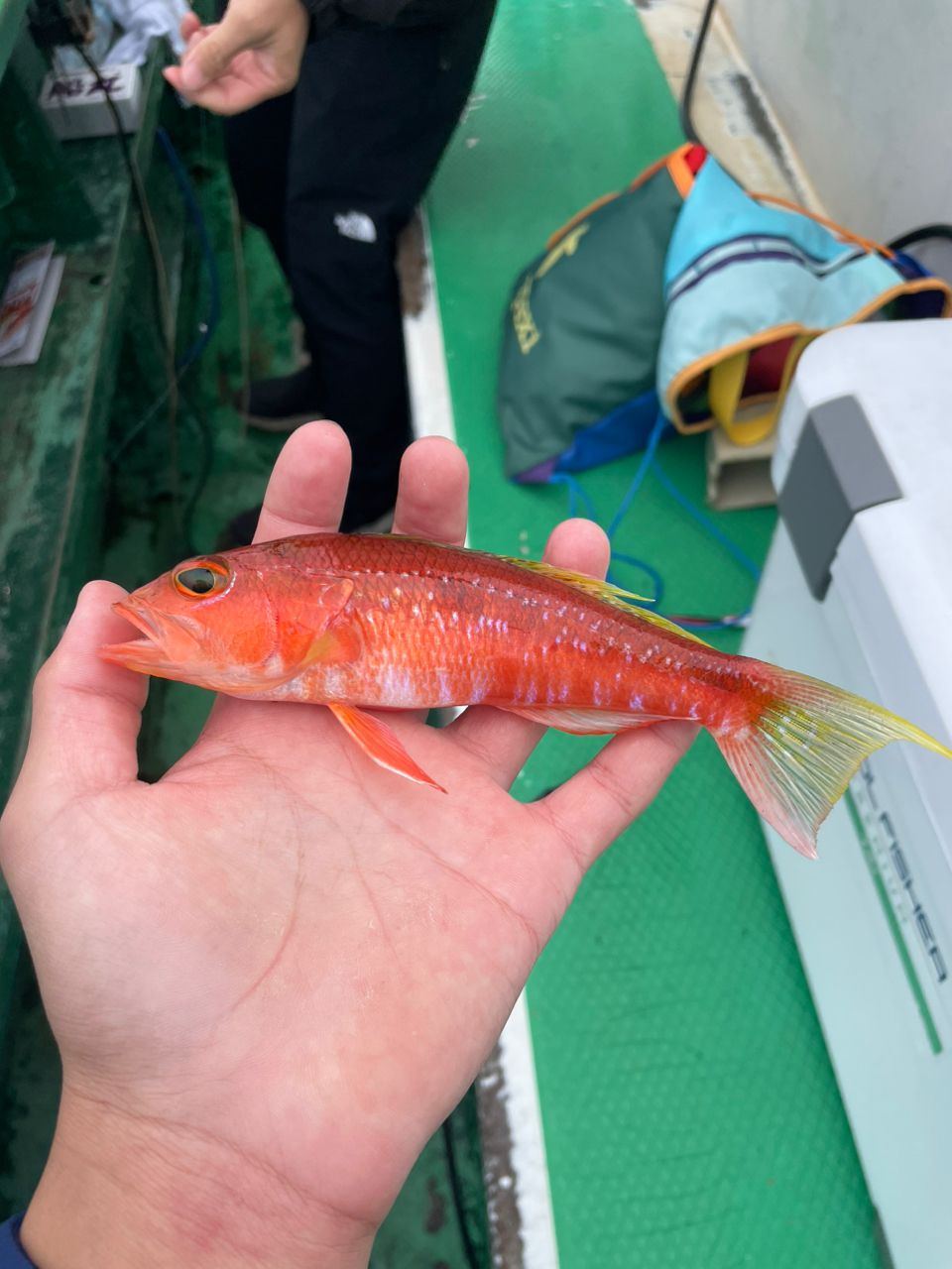 江ノ島釣りバカKIDSさんの釣果 3枚目の画像