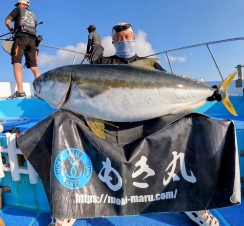 ヒラマサの釣果