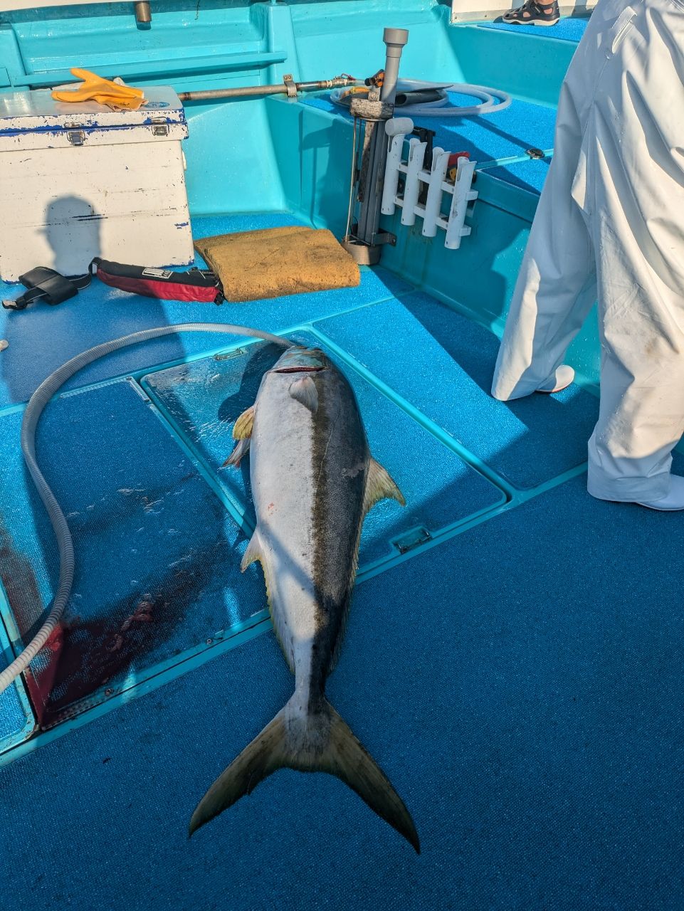 かずちゃんマンさんの釣果 2枚目の画像
