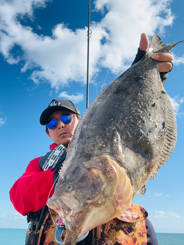 ヒラメの釣果