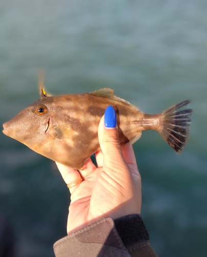 那珂湊港