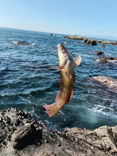 江ノ島表磯