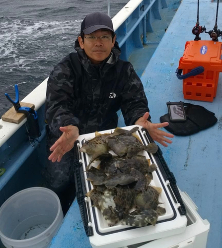 カワハギの釣果