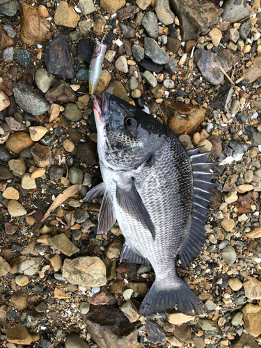 奥浜名湖