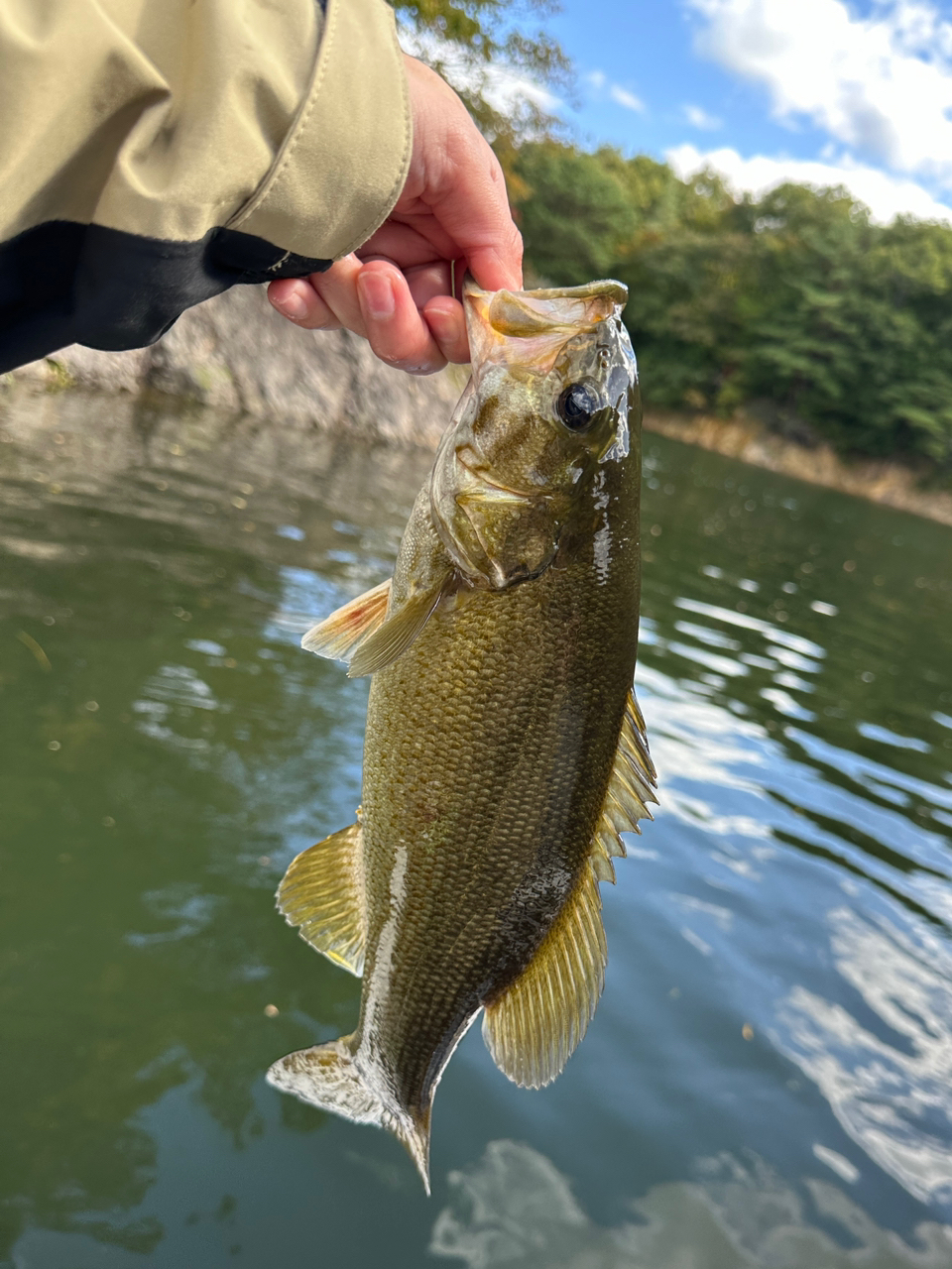 スモールマウスバス