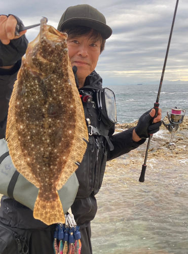 ヒラメの釣果