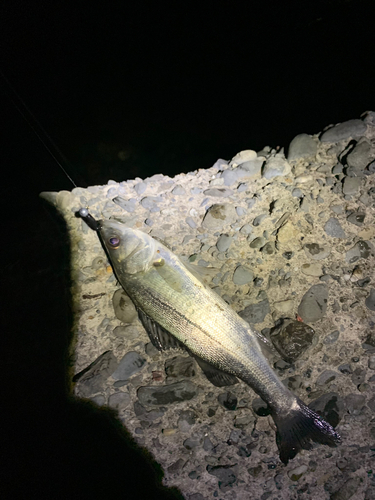 鳥居崎海浜公園