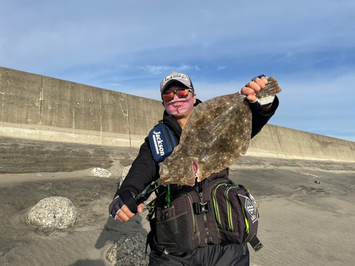 ヒラメの釣果