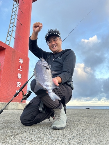 イシダイの釣果