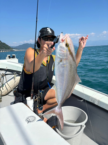 ショゴの釣果