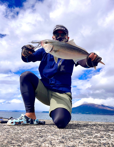 ネリゴの釣果