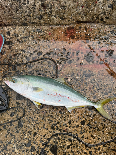 鍋串漁港