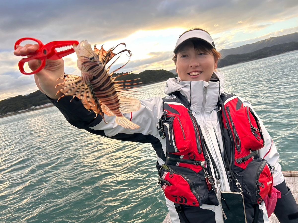 みっとっとさんの釣果 1枚目の画像