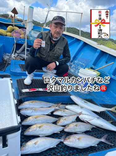 カンパチの釣果