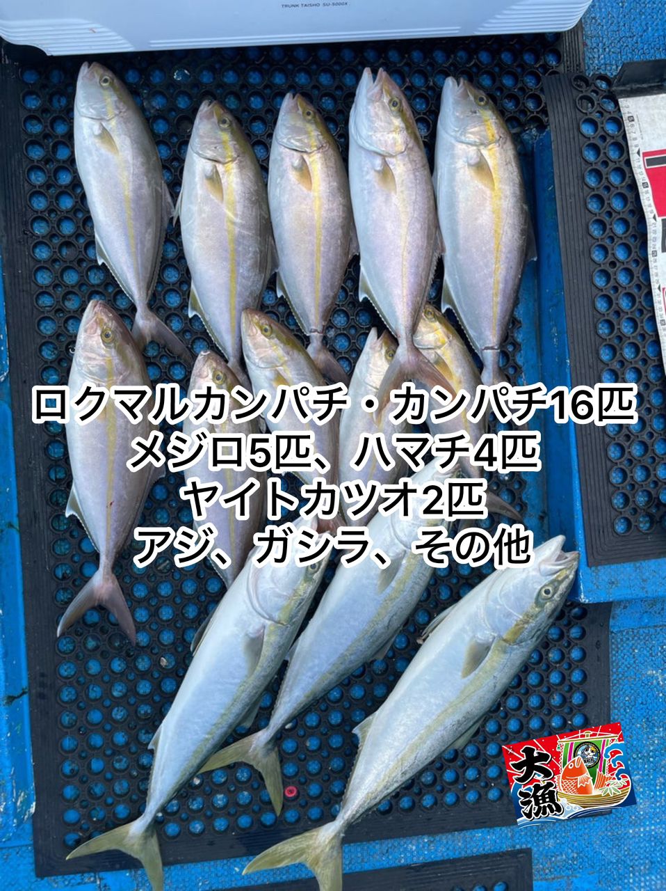 清和丸さんの釣果 2枚目の画像