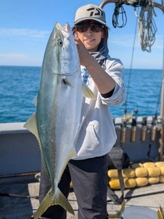 ブリの釣果