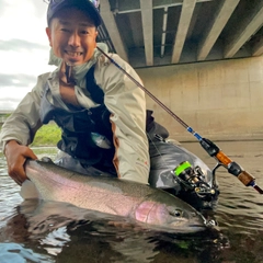 ニジマスの釣果