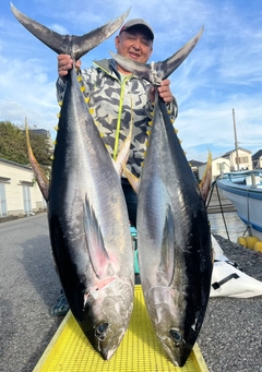 キハダマグロの釣果