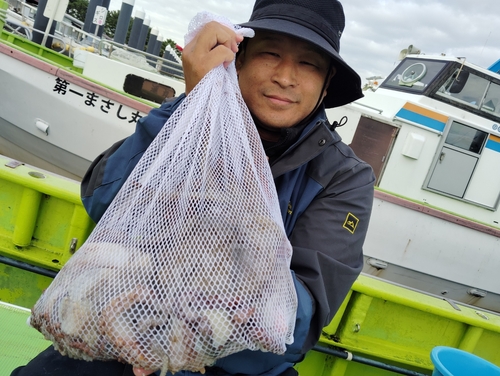 マダコの釣果